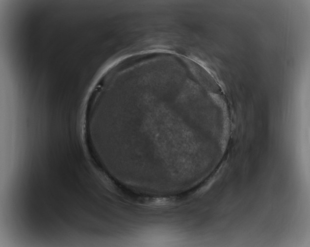 X0000094820056200712071254