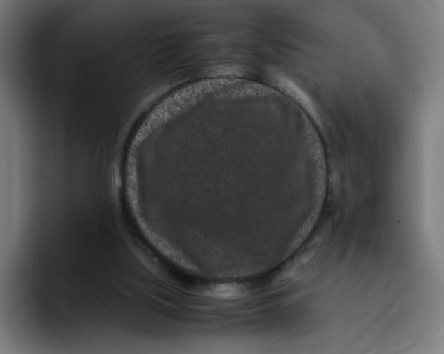 X0000094820059200712071254
