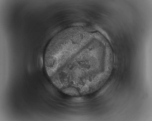 X0000094820061200712071254