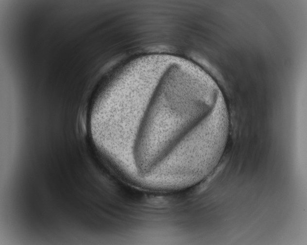 X0000094820062200712071254