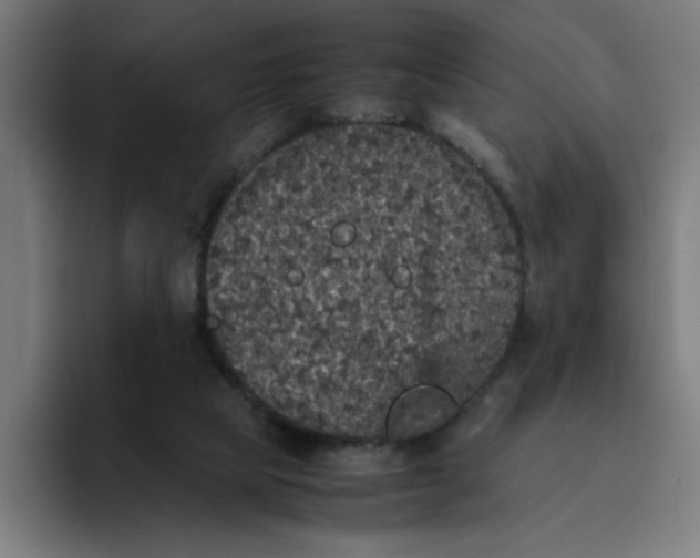 X0000094820065200712071254