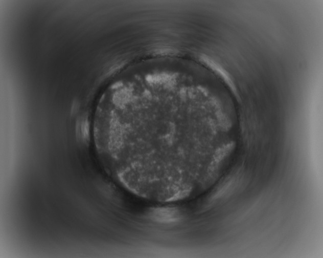 X0000094820067200712071254