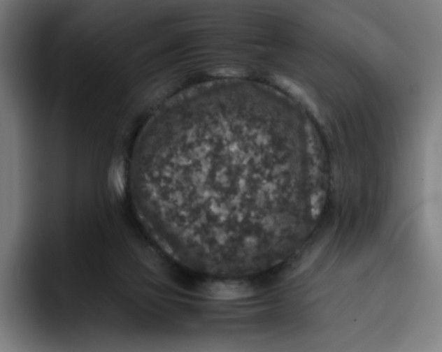 X0000094820069200712071254
