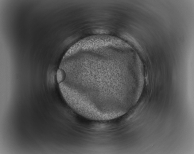 X0000094820071200712071254