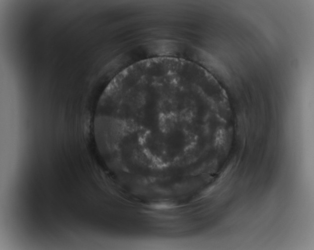 X0000094820073200712071254