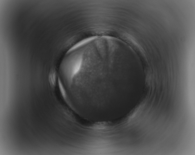 X0000094820076200712071254