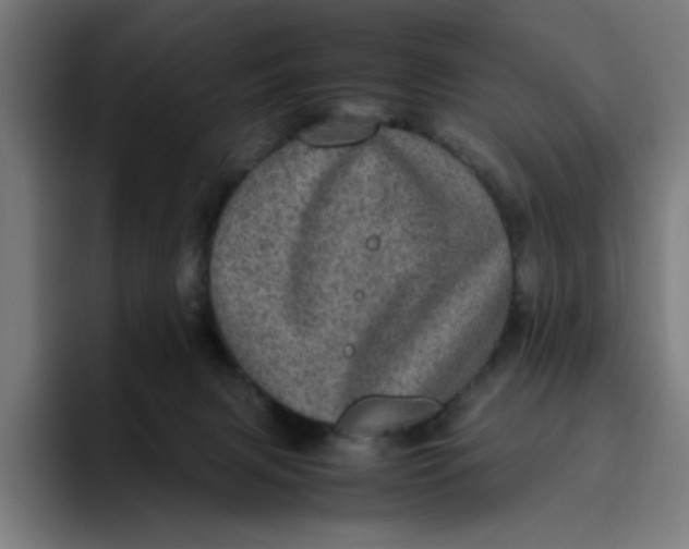 X0000094820079200712071254