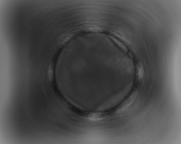 X0000094820080200712071254