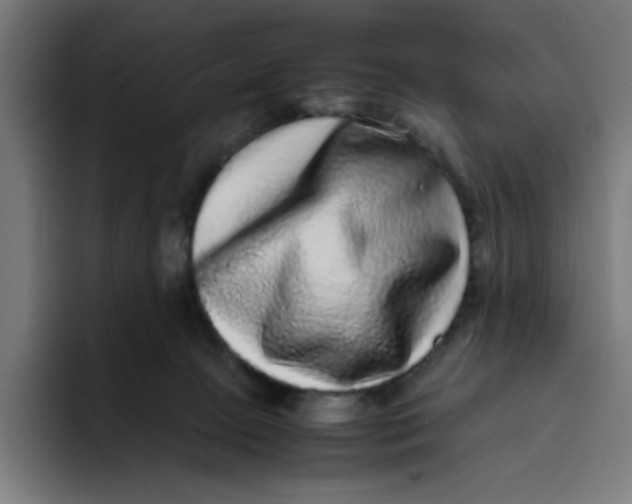 X0000094820081200712071254