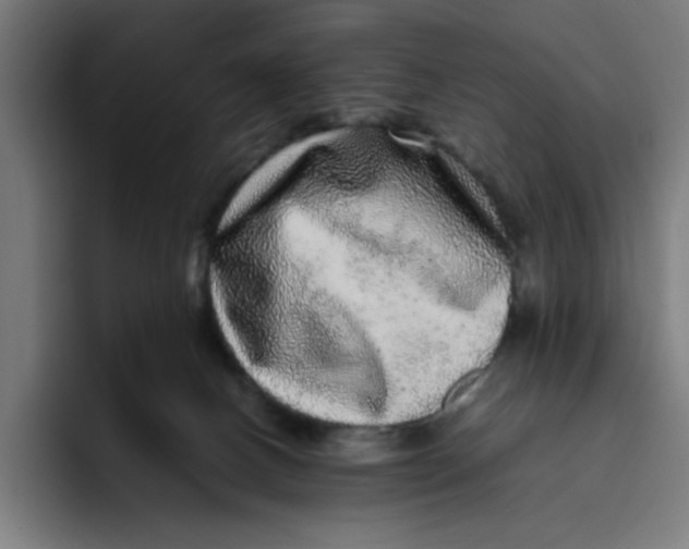 X0000094820082200712071254