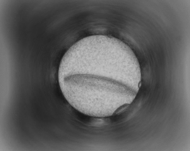 X0000094820083200712071254