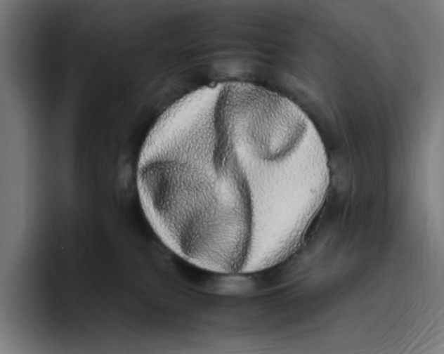 X0000094820087200712071254