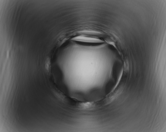 X0000094820092200712071254