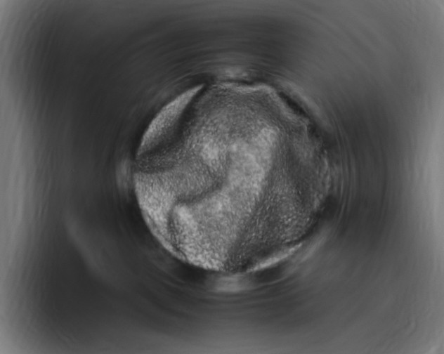 X0000094820093200712071254