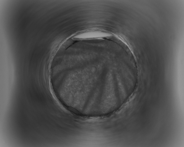 X0000094820097200712071254