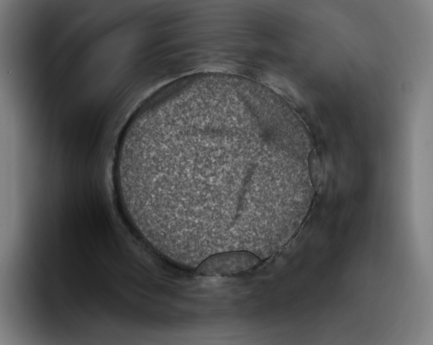 X0000094820098200712071254