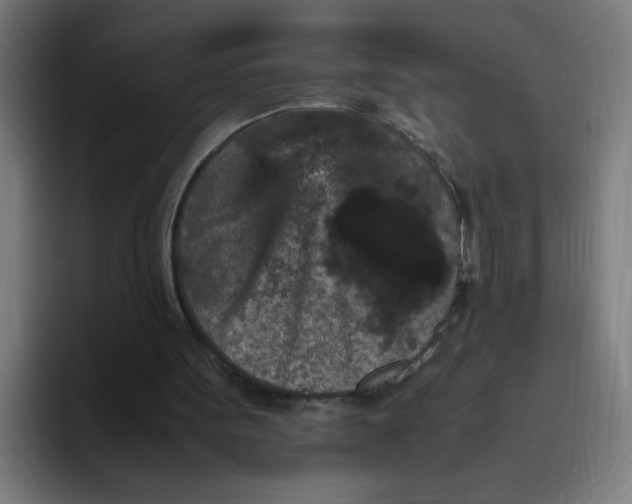 X0000094820099200712071254