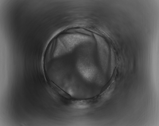 X0000094820100200712071254