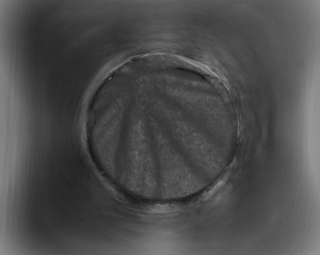 X0000094820101200712071254
