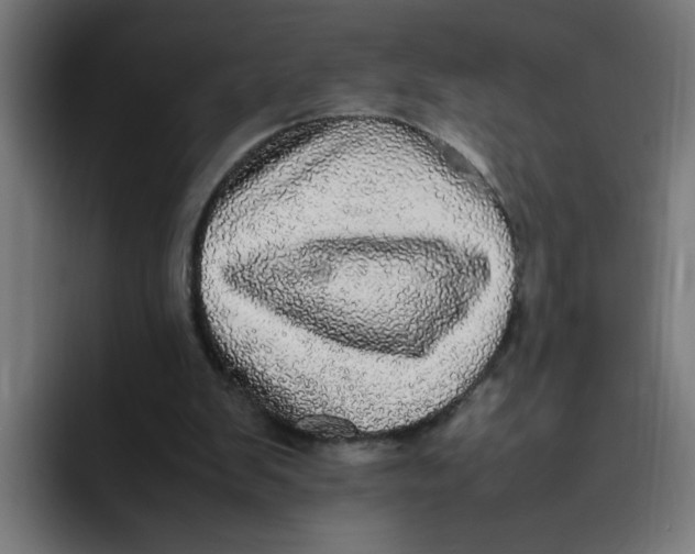 X0000094820103200712071254