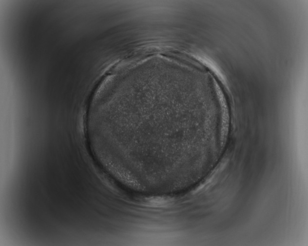 X0000094820105200712071254
