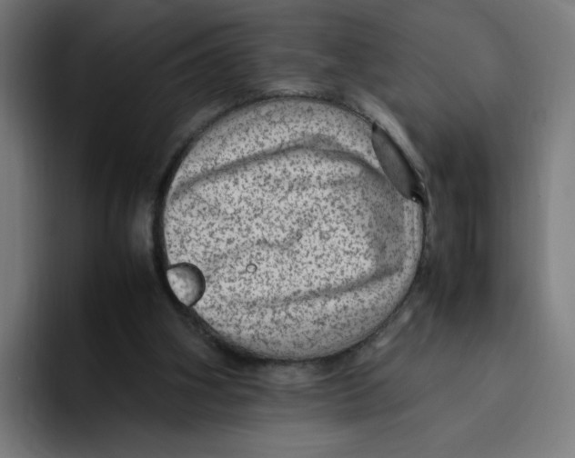 X0000094820106200712071254