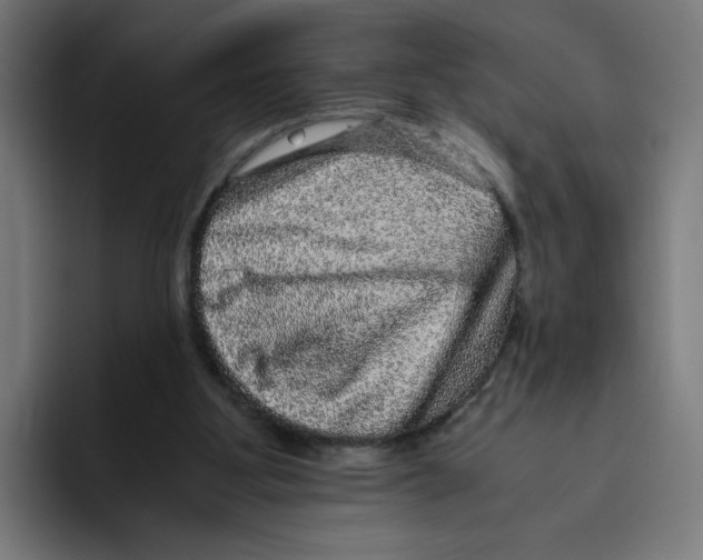 X0000094820107200712071254