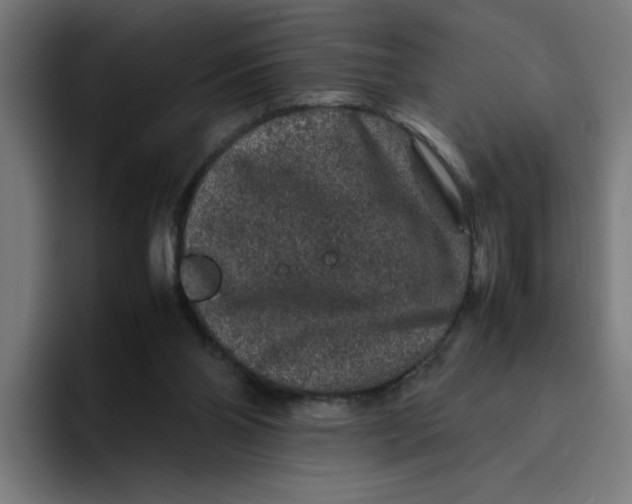 X0000094820110200712071254