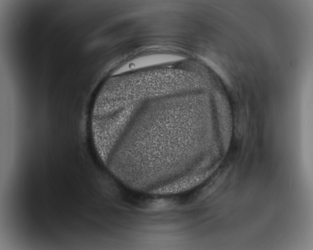 X0000094820111200712071254