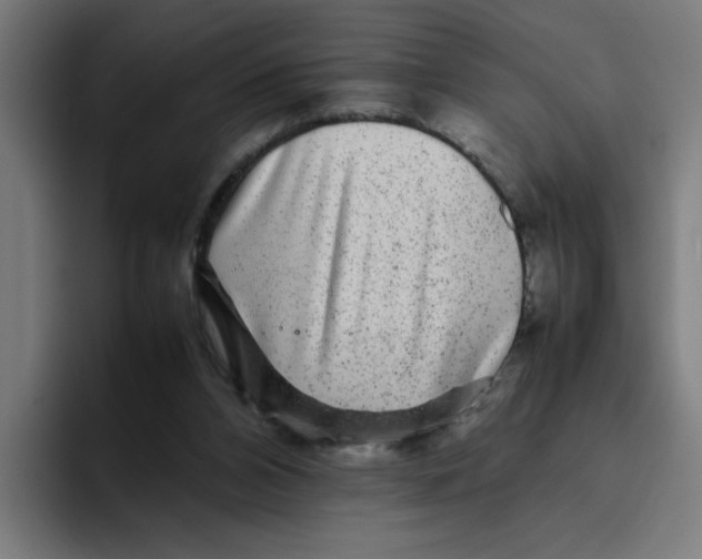 X0000094820112200712071254