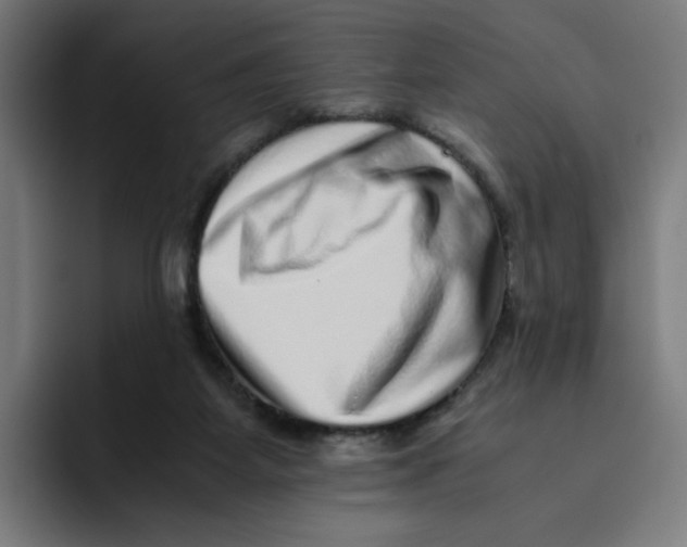 X0000094820115200712071254