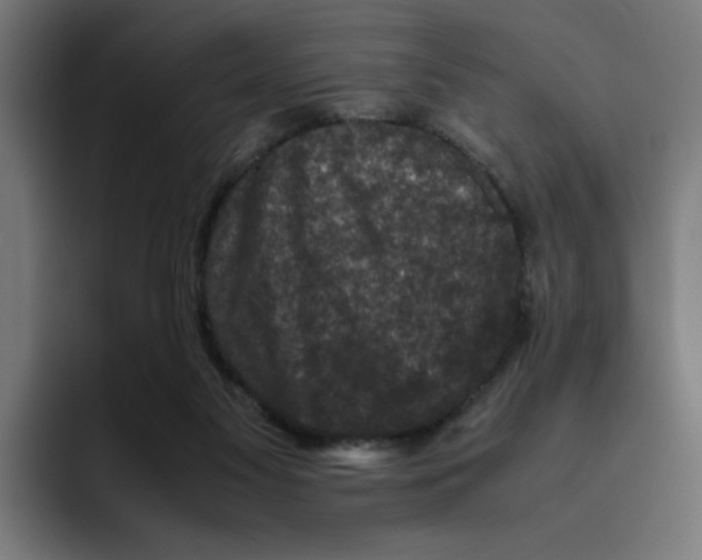 X0000094820117200712071253