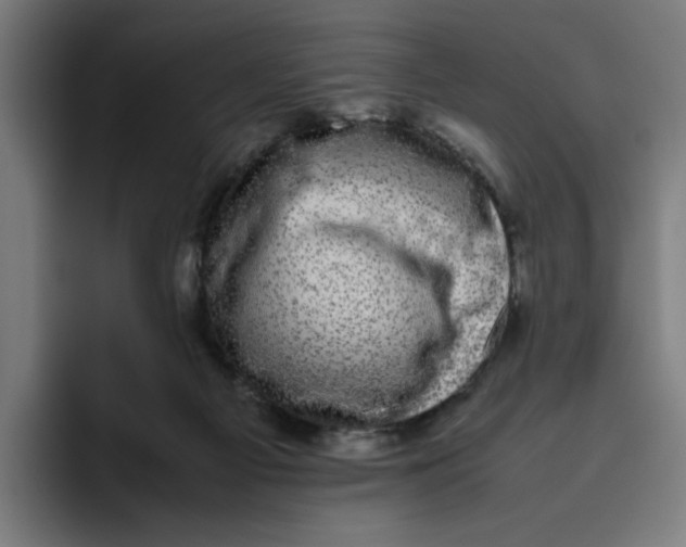 X0000094820121200712071253