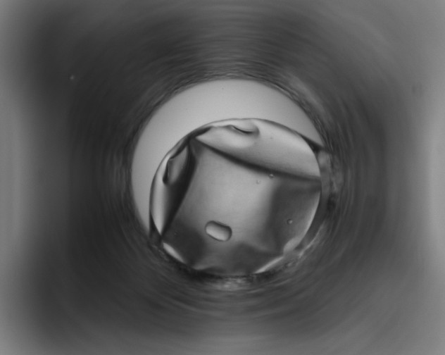 X0000094820124200712071253