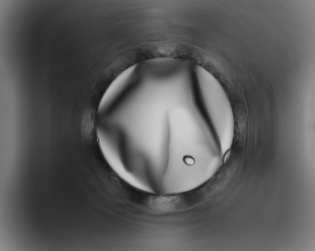 X0000094820129200712071253