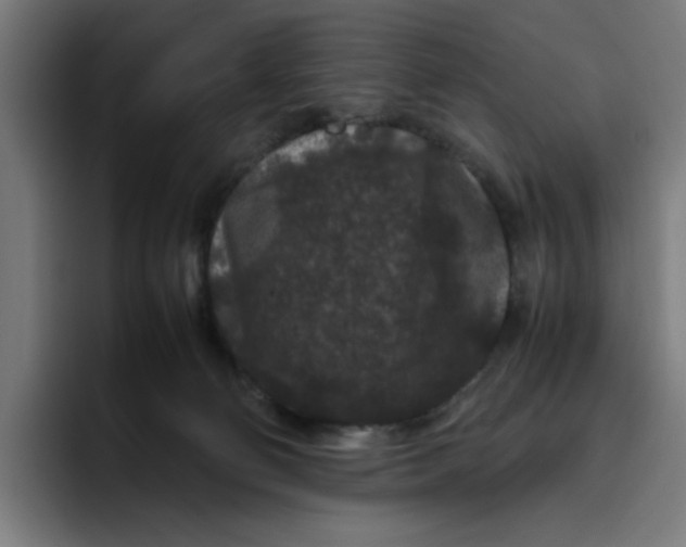 X0000094820130200712071253