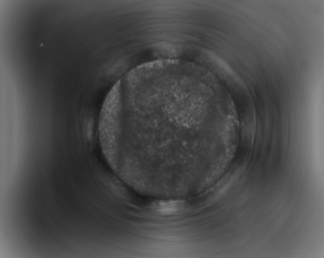 X0000094820134200712071253