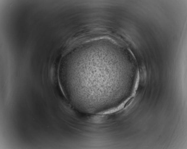 X0000094820136200712071253
