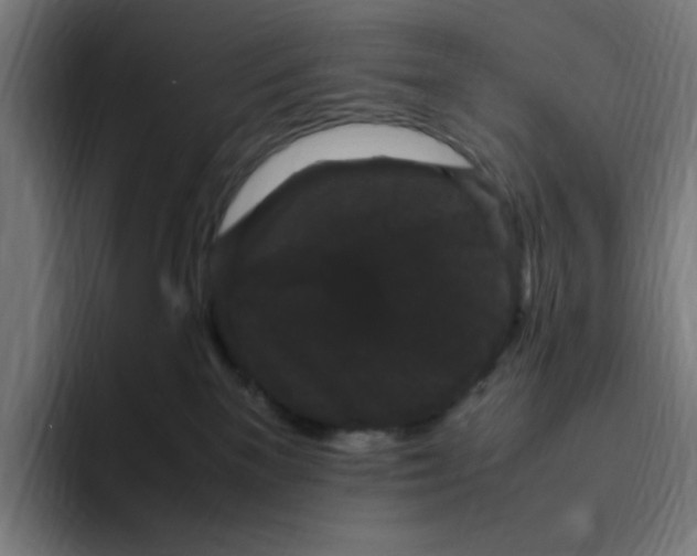 X0000094820137200712071253