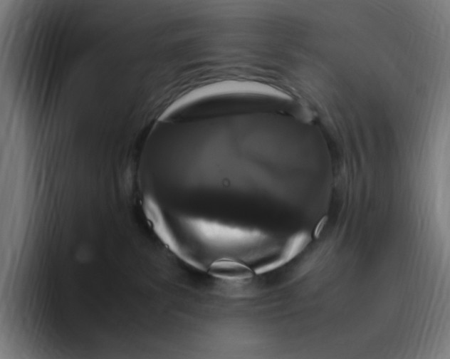 X0000094820139200712071253