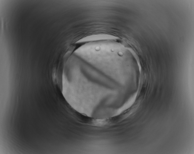 X0000094820141200712071253