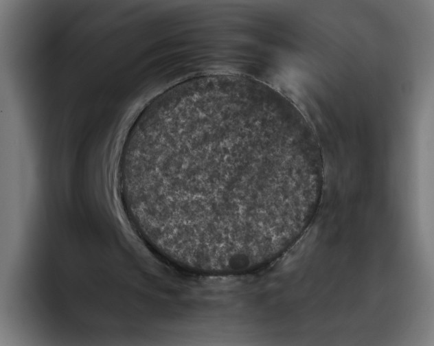X0000094820145200712071253