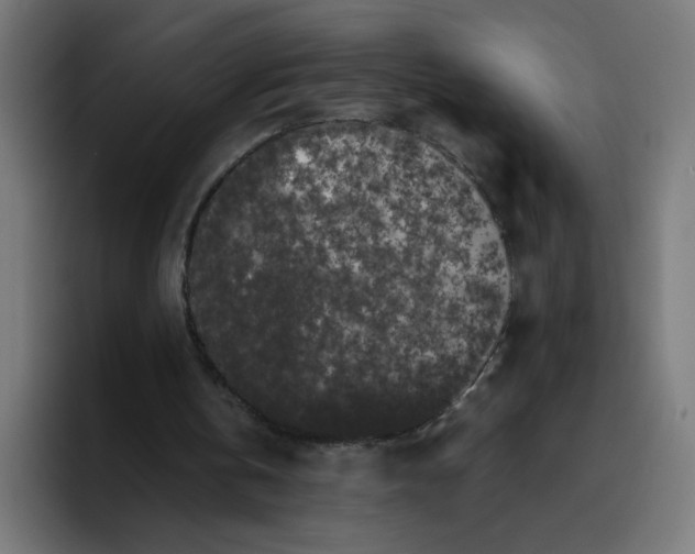 X0000094820146200712071253