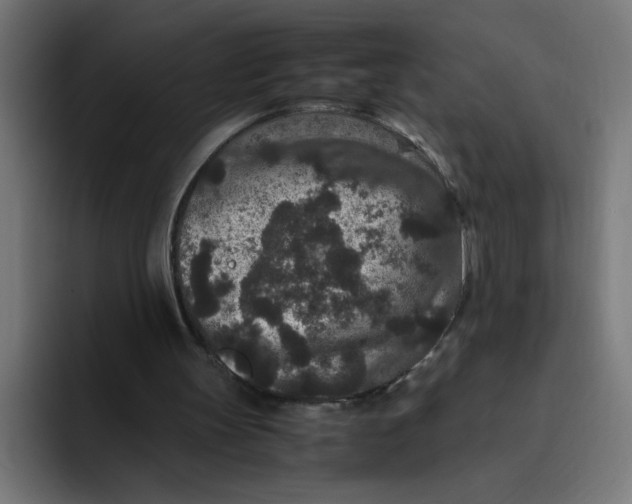 X0000094820147200712071253