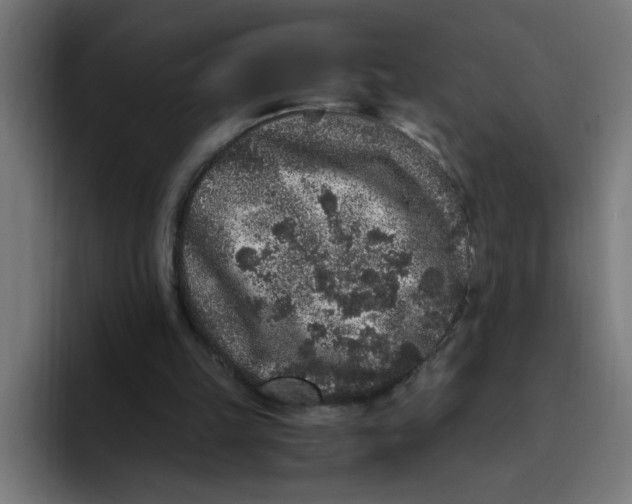 X0000094820149200712071253