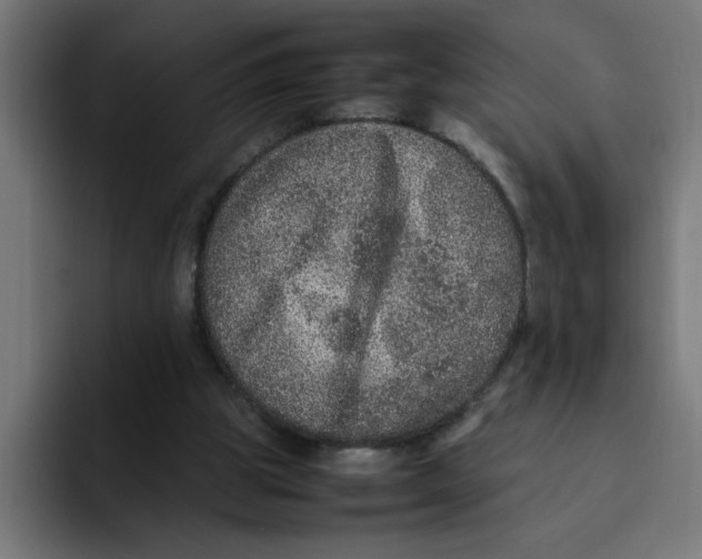 X0000094820153200712071253