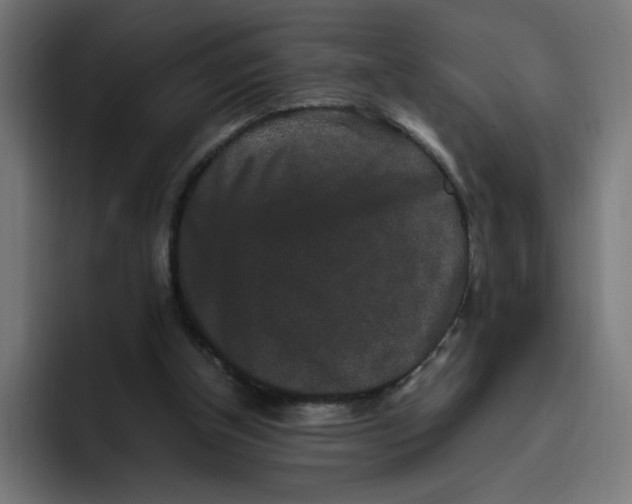 X0000094820154200712071253