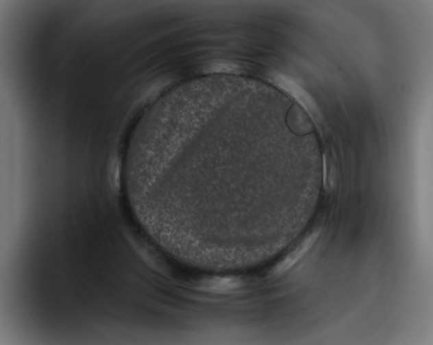 X0000094820157200712071253
