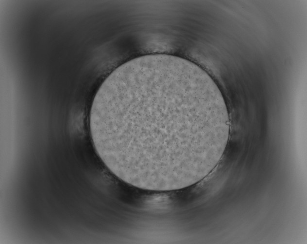 X0000094820162200712071253