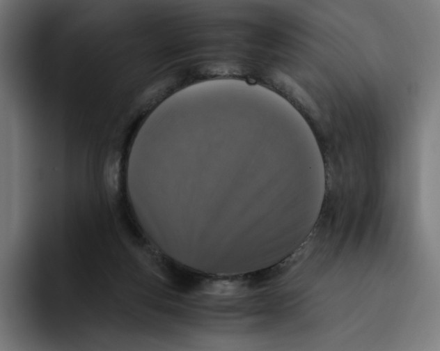 X0000094820163200712071253